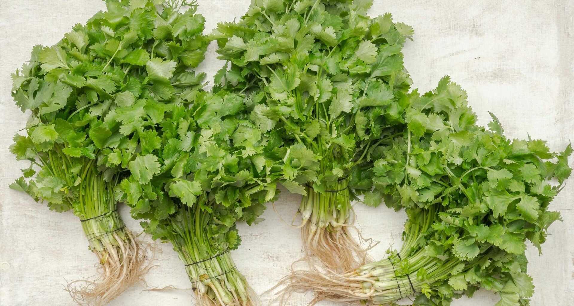 Plante și remedii naturale care te ajută să elimini metalele grele